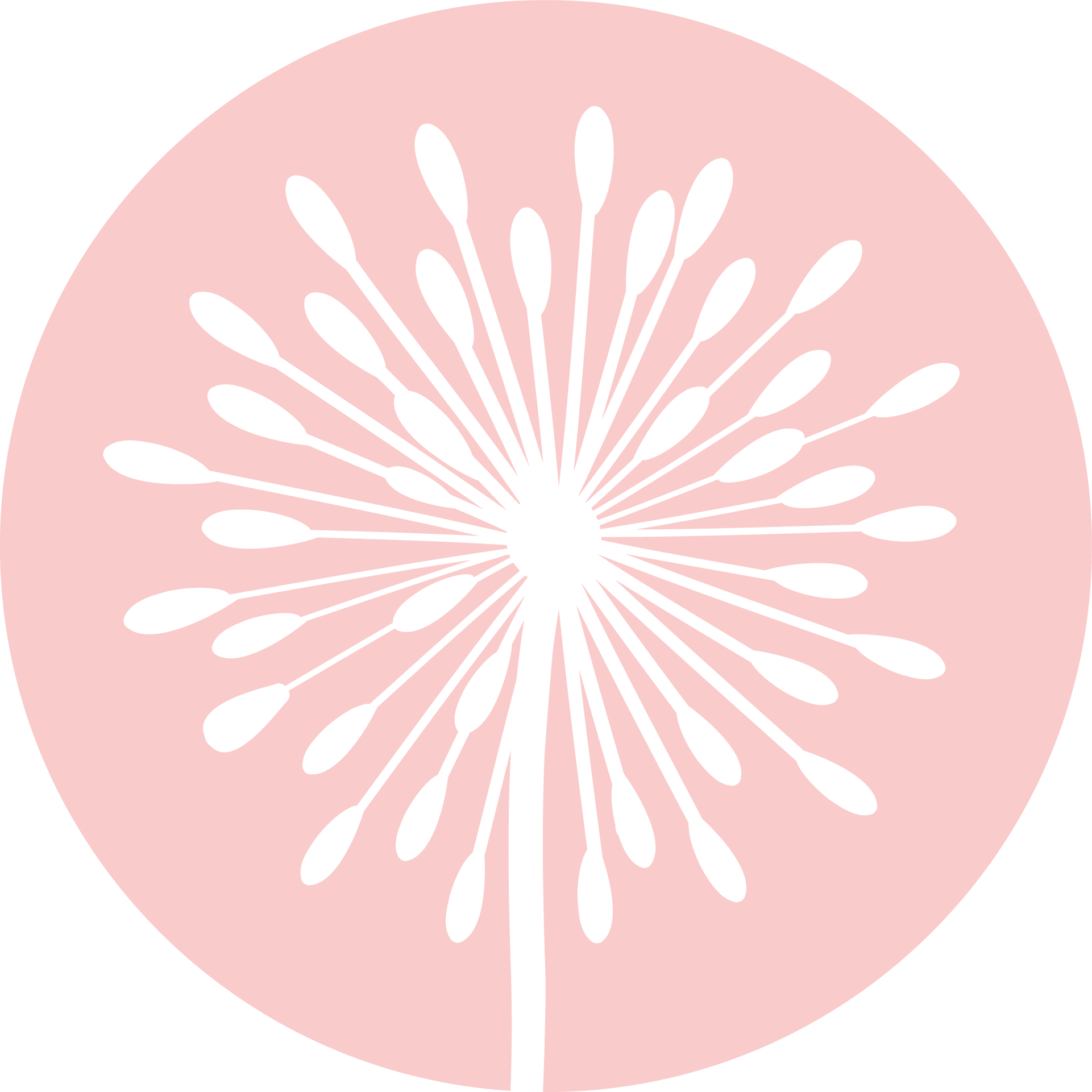 Amy Burke Counseling logo